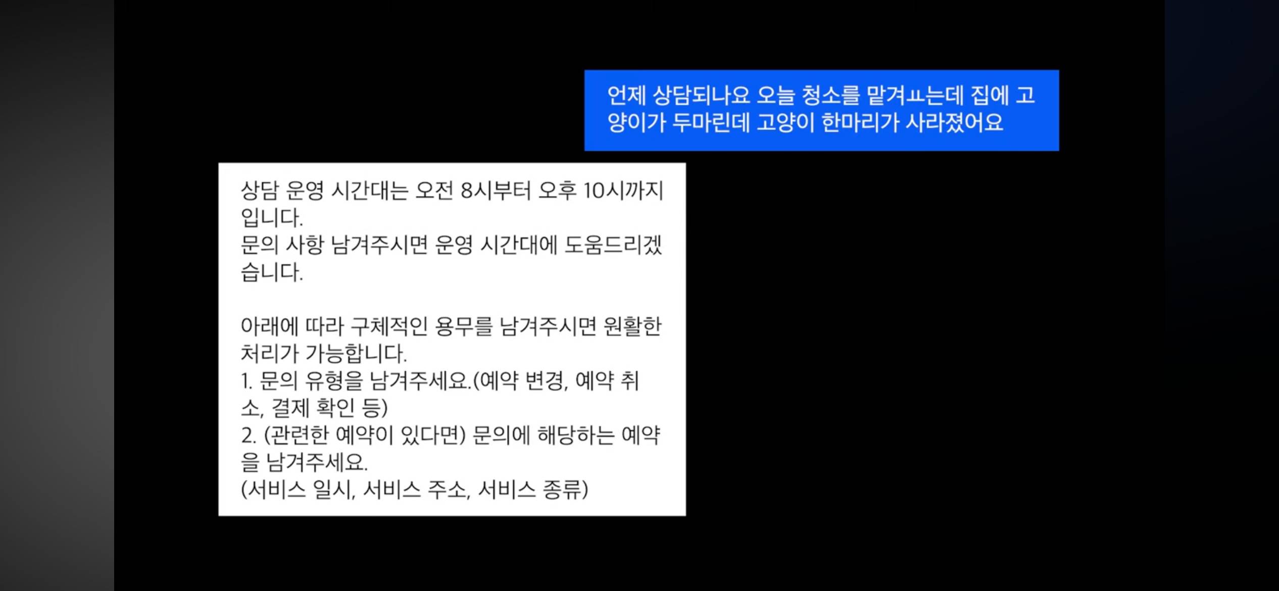 커플유튜버 다나나 고양이 청소업체 부주의로 무지개다리 건넜대 | 인스티즈