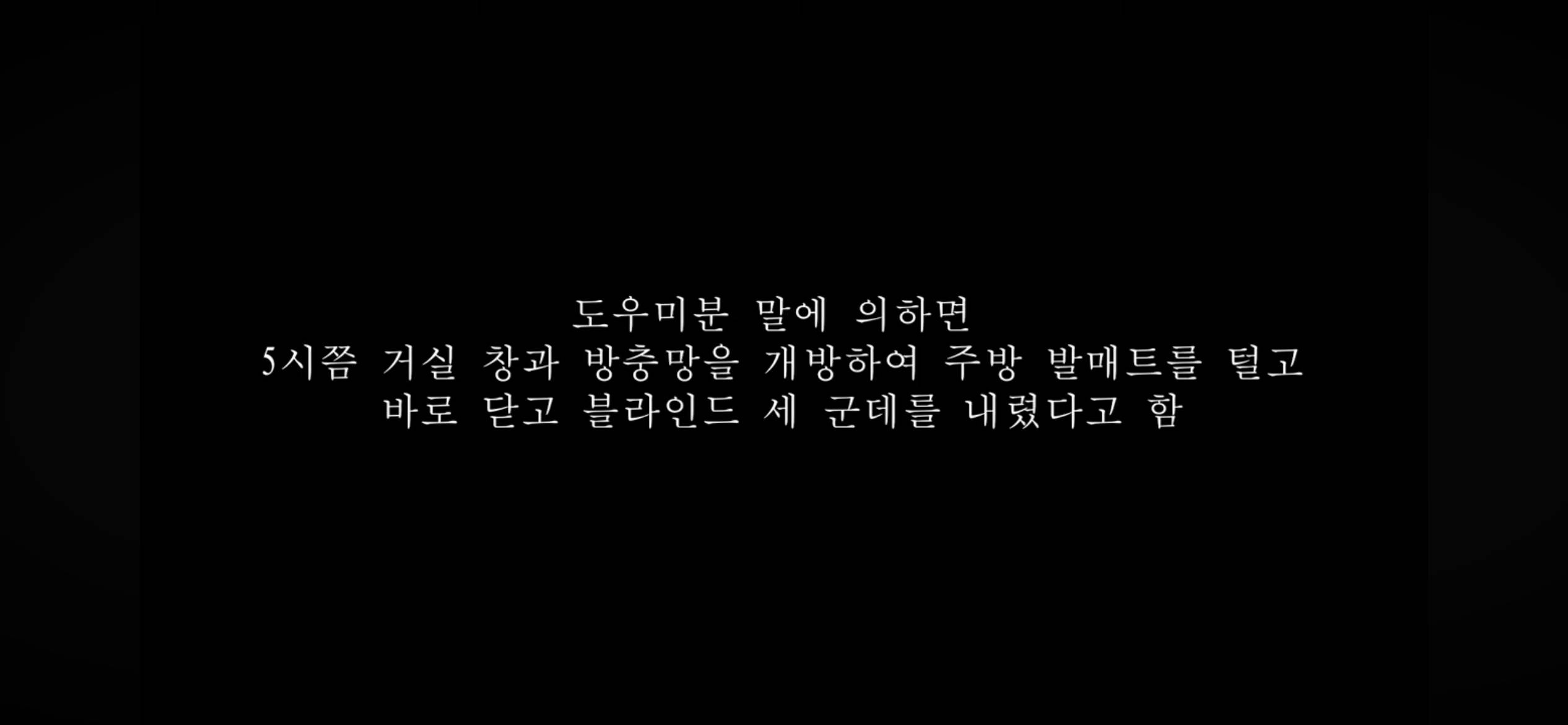 커플유튜버 다나나 고양이 청소업체 부주의로 무지개다리 건넜대 | 인스티즈