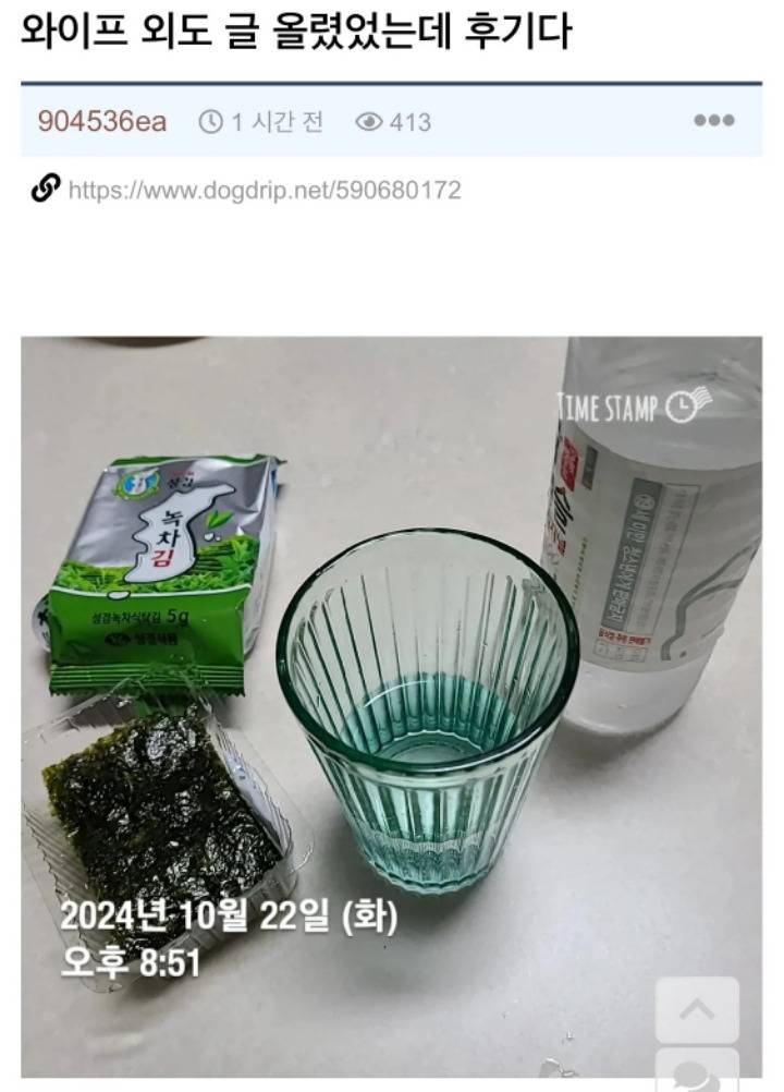 개드립 난리난 와이프 불륜으로 탐정붙인 후기.jpg | 인스티즈