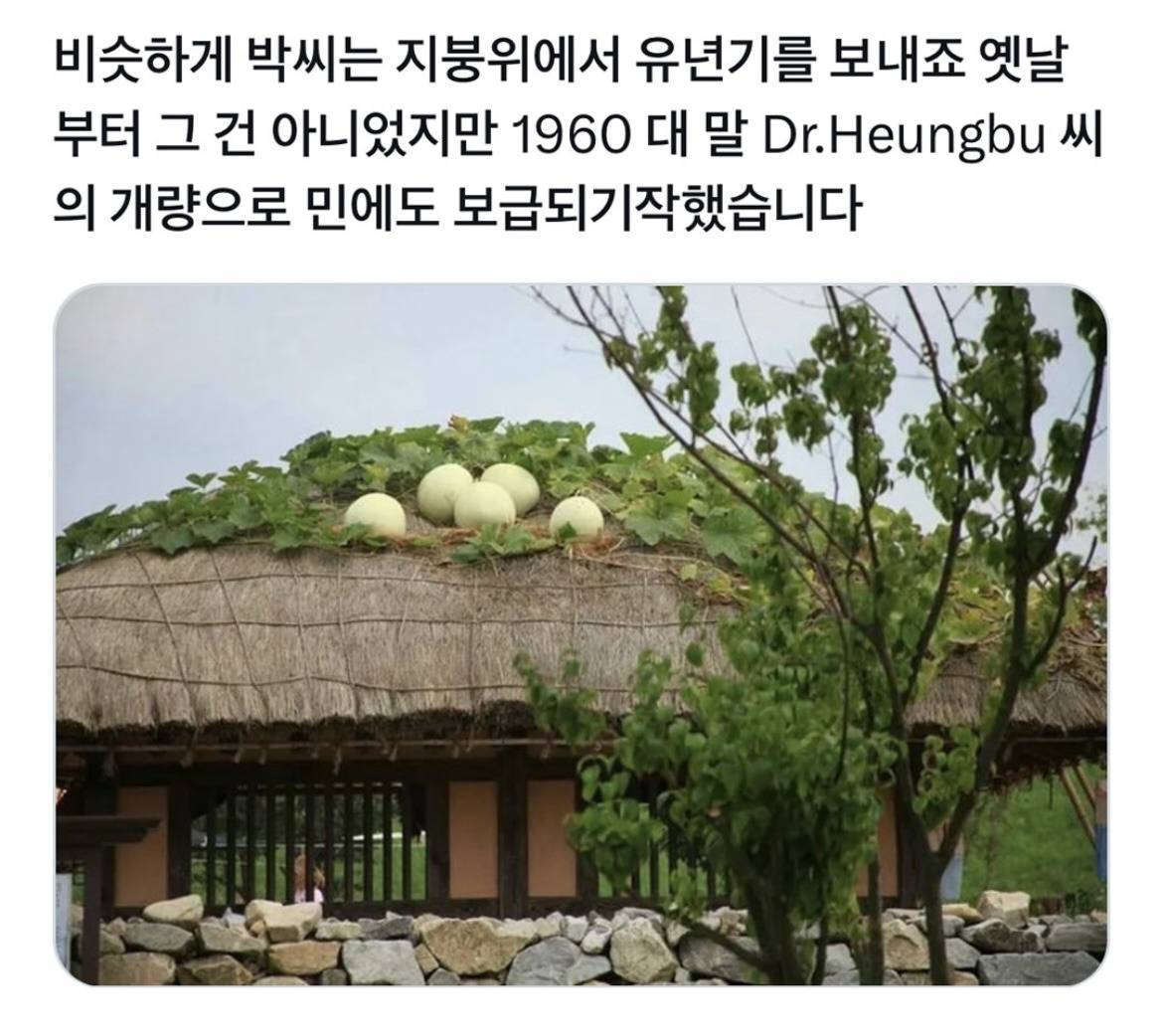 김씨집안은 다 저기서 자랍니다 | 인스티즈