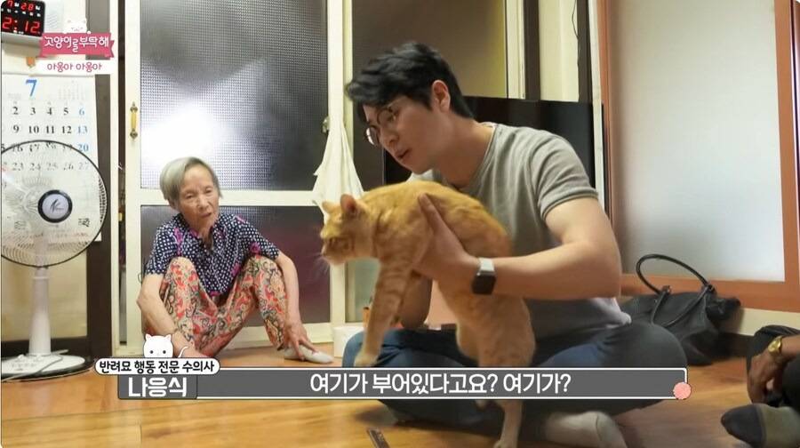 할머니 : 이 수의사 못 믿겠네. 나 그렇게 안 맥였어!.jpg | 인스티즈