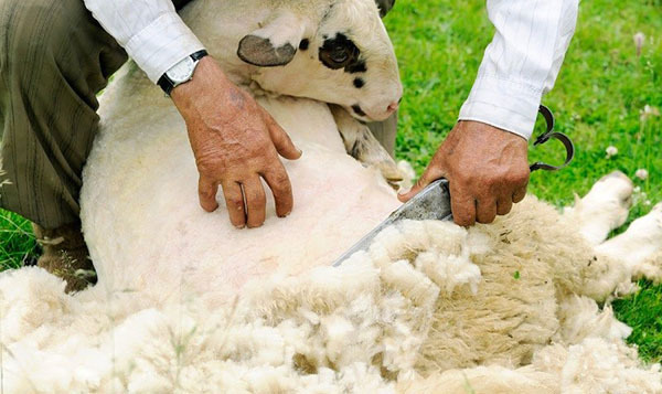 겨울이라 어그 사려는 눈아들 다 들어와보걸아 ₍ᐢɞ̴̶̷.̮ɞ̴̶̷ᐢ₎ | 인스티즈