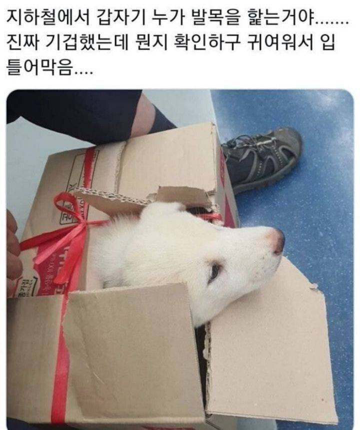 지하철에서 누가 발목을 핥음 | 인스티즈