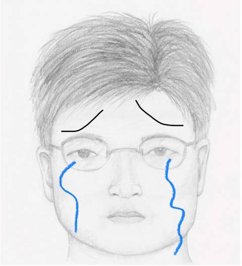 찐 견주들만 들어와서 투표하는 달글 | 인스티즈