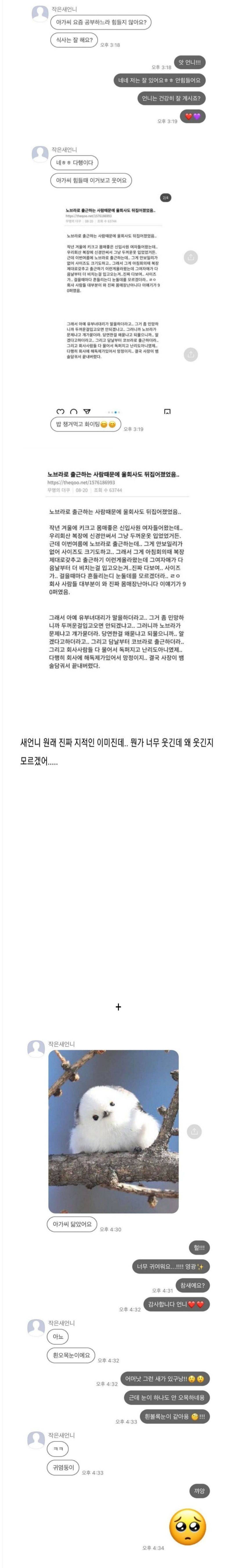 평소엔 지적인 새언니가 아가씨에게 보내는 카톡 | 인스티즈