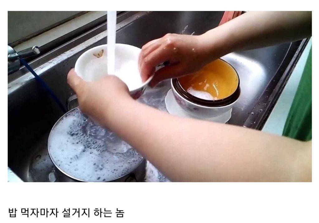 자취하면서 느낀 독종 BEST3 | 인스티즈