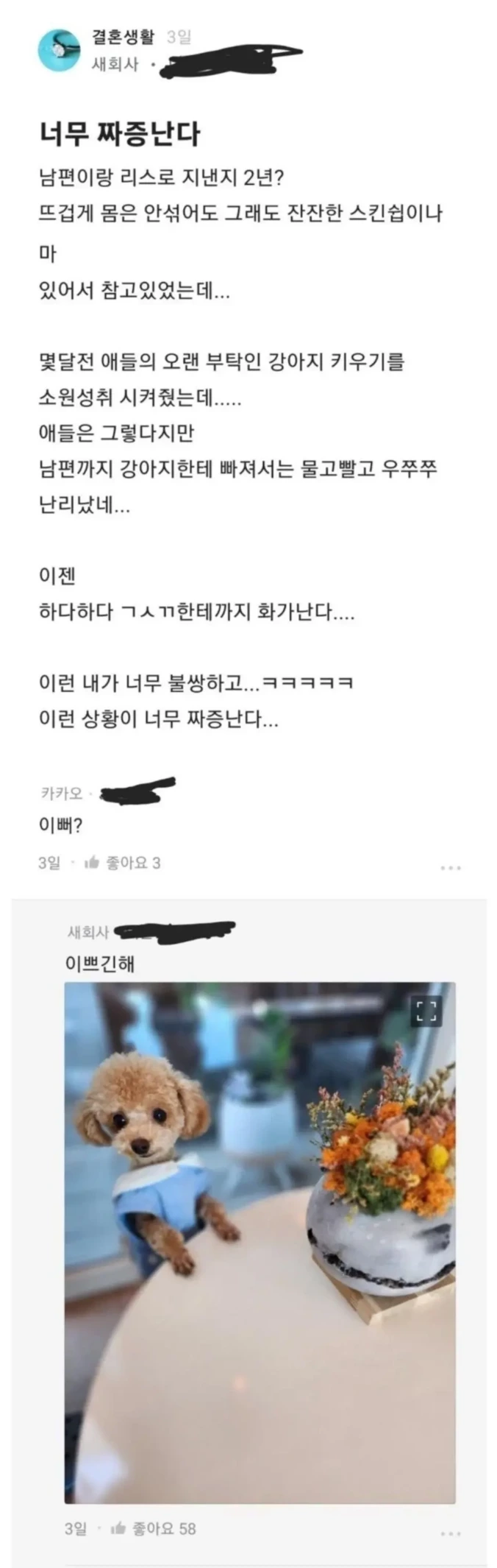 ㅅㅅ리스 2년째 너무 짜증나는데... | 인스티즈