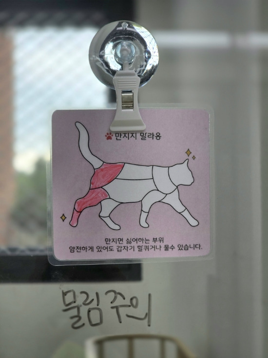 고양이 보호소 그게 뭔데, 개힘든 거 아니냐 | 인스티즈