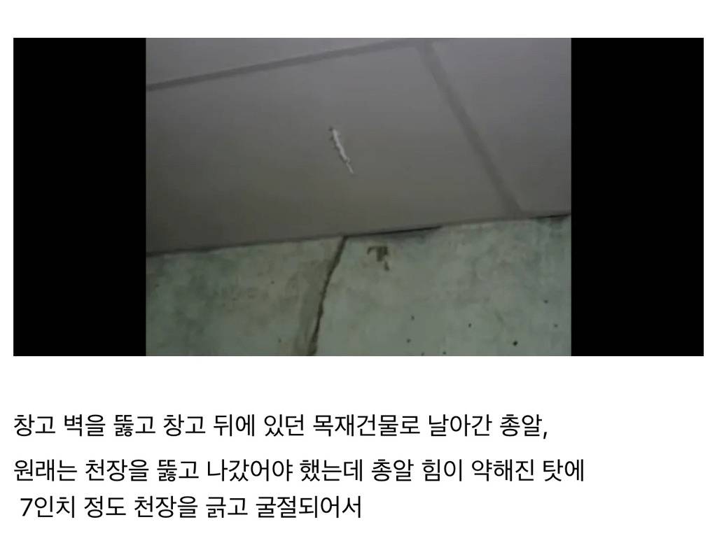image.png 진짜 억울한 죽음