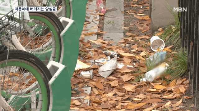 공용자전거 바구니에 버려지는 쓰레기 | 인스티즈