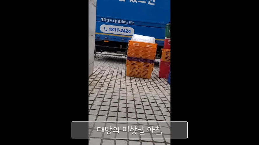 이사 가는 날 아침 10시까지 나오면 같이 가는 거라고 했더니 진짜 나온 고양이 | 인스티즈