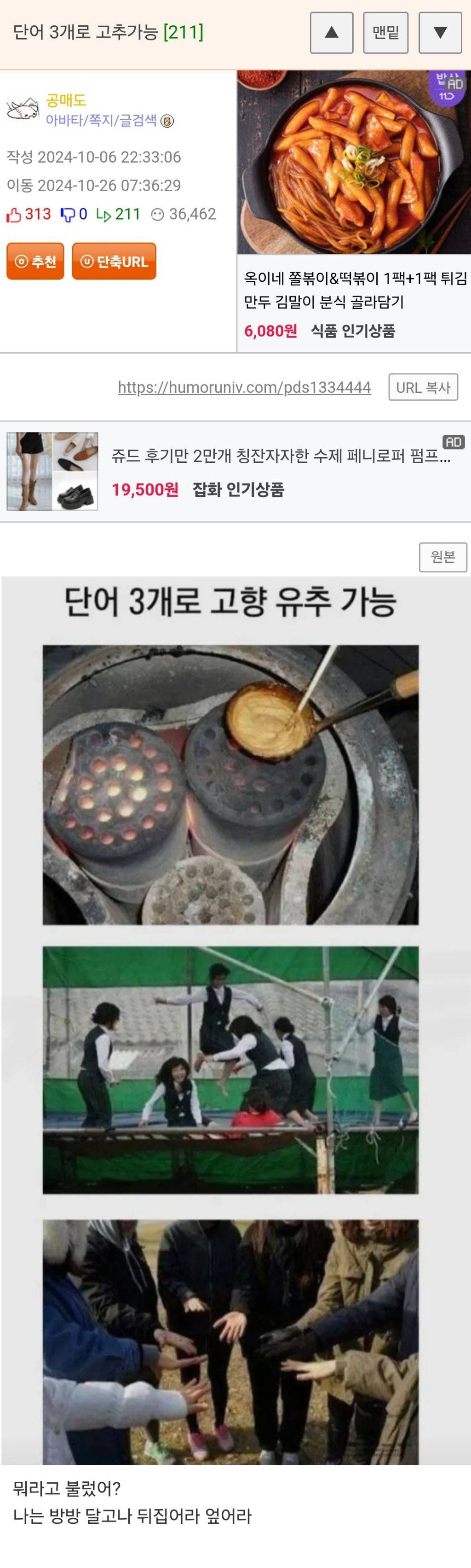 고향 판독기 3가지 | 인스티즈