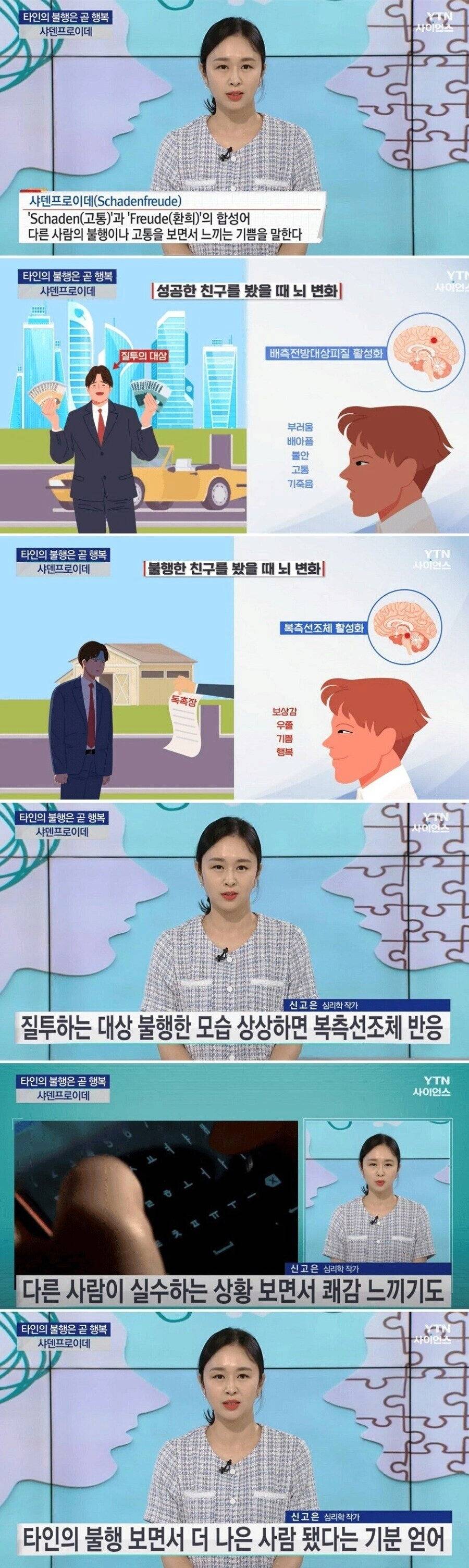 다른 사람이 실수하는 상황 보면서 우쭐함과 행복과 쾌감 느낀다는 인간의 뇌 | 인스티즈