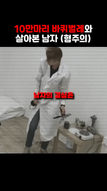 바퀴벌레 10만마리와 하루살면 1300만원 혐주의 | 인스티즈