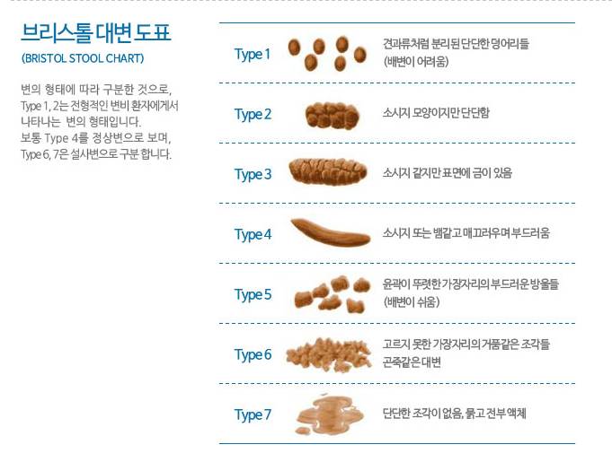 대변으로 알아보는 건강 | 인스티즈