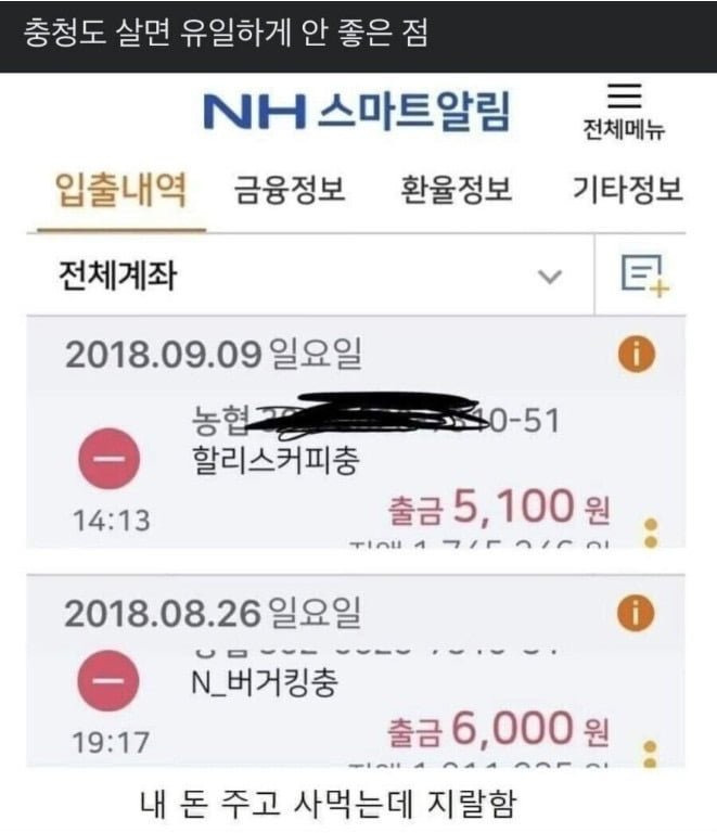 충청도 살면서 안좋은점 | 인스티즈