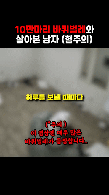 바퀴벌레 10만마리와 하루살면 1300만원 혐주의 | 인스티즈