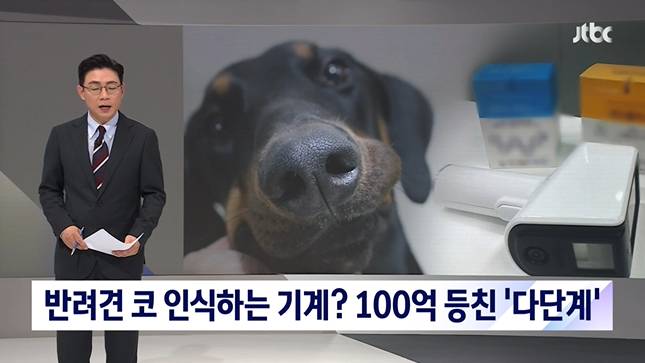 반려견 코 인식하는 기계?…100억 등친 '다단계 사기 | 인스티즈