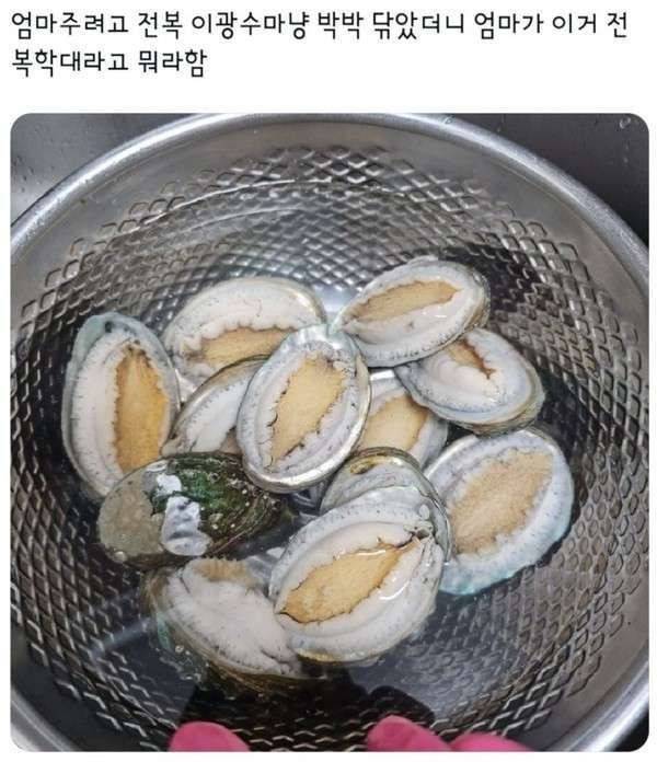 엄마 주려고 전복 박박 닦았는데 | 인스티즈