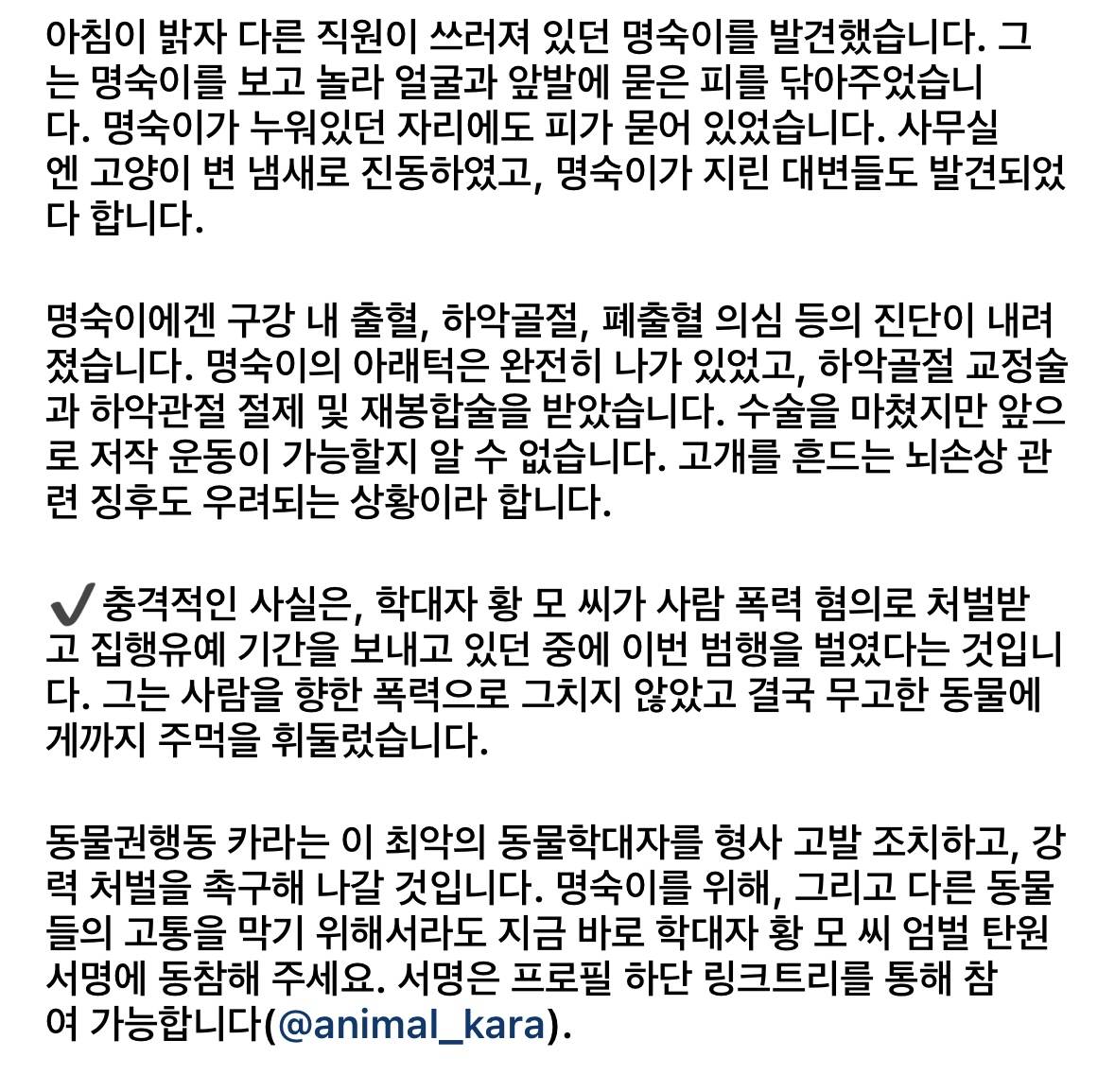 부산 모 회사 직원이 아기고양이 새벽 3시간동안 엄청 고문하고 학대함.. (빡침주의) | 인스티즈