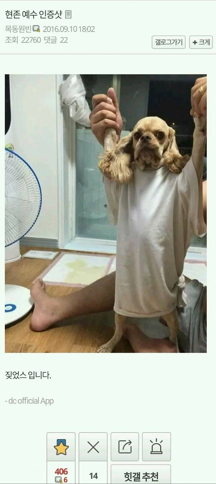 나 금수저인데...먹고 살기가 너무 힘들다... | 인스티즈