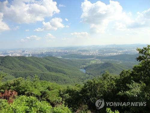 "광교산에 브루셀라 걸린 개 10마리 유기"…수원시, 6마리 포획 | 인스티즈