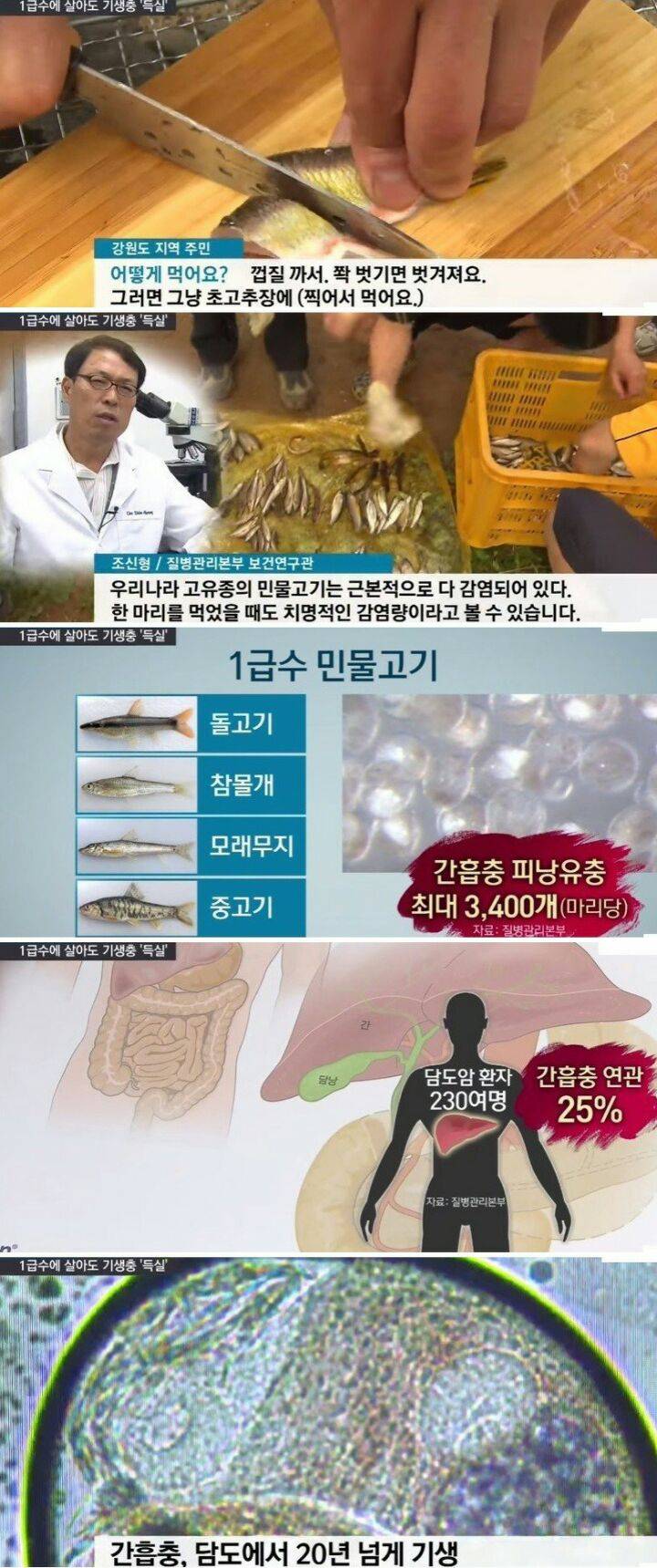 민물고기를 회로 먹으면 위험한 이유.jpg | 인스티즈