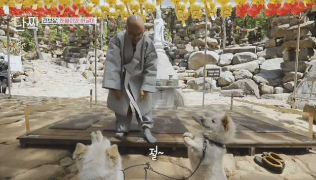 힐링오져따 애기+동물짤만 모음 | 인스티즈