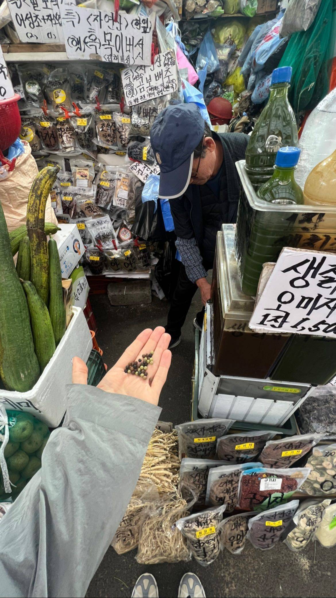 또 한국여행 와서 야무지게 즐기고있는 주드로 딸.jpg | 인스티즈