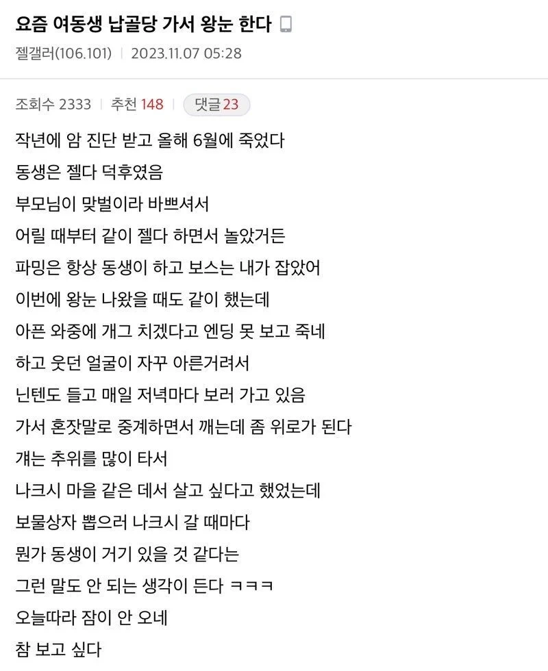 요즘 여동생 납골당 가서 왕눈(닌텐도 젤다의전설) 한다 | 인스티즈