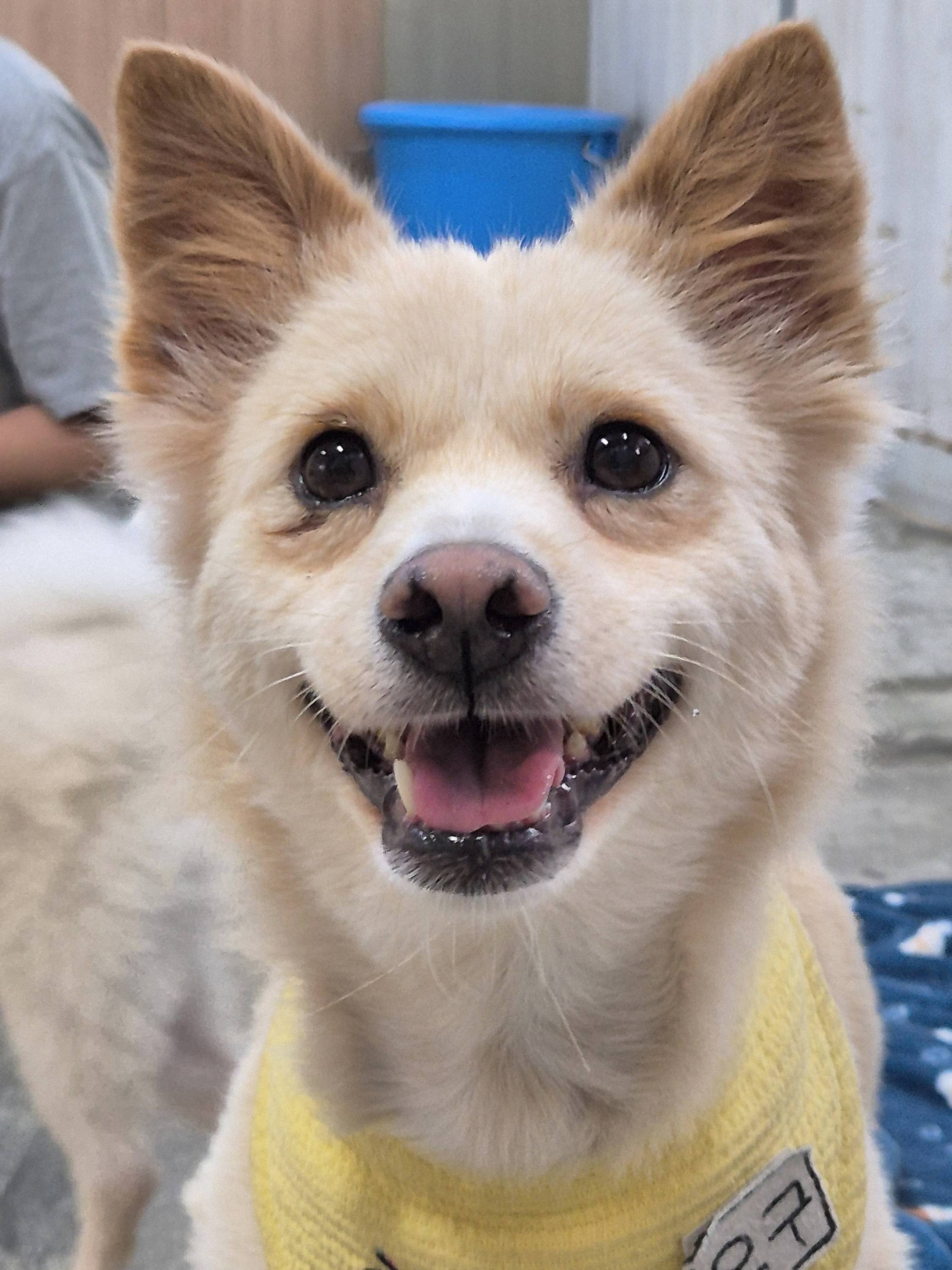 언니 나 안아.. 맨날 뽀뽀해주께💛 사랑둥이 오구의 평생가좍을 찾습니다! | 인스티즈