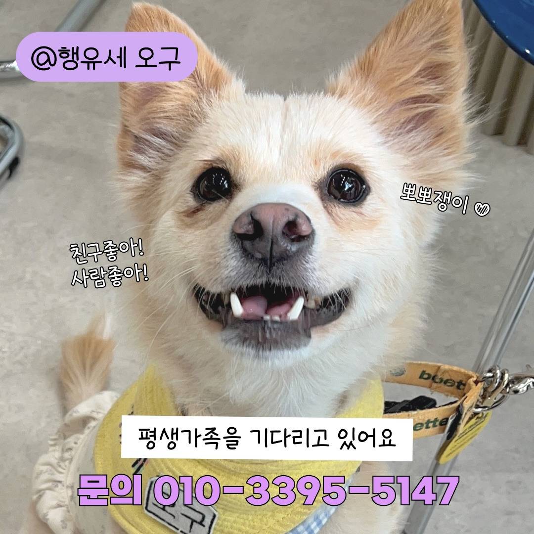 언니 나 안아.. 맨날 뽀뽀해주께💛 사랑둥이 오구의 평생가좍을 찾습니다! | 인스티즈