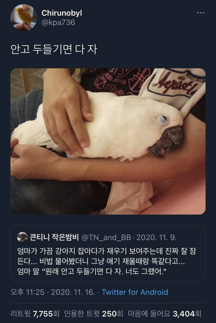 먼지 한 톨에 무너지는 마음이라면 바람 한 점에도 행복해 질 수 있겠지 | 인스티즈