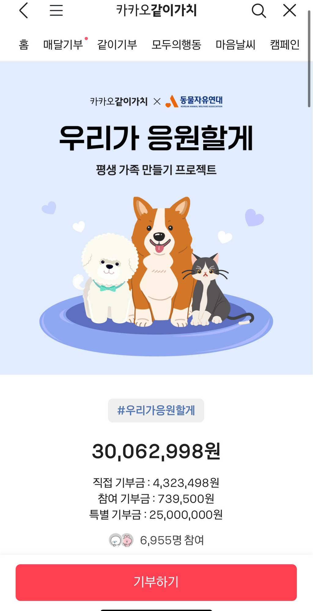 댓글 하나에 1000원이 유기동물에게 기부된다니 | 인스티즈