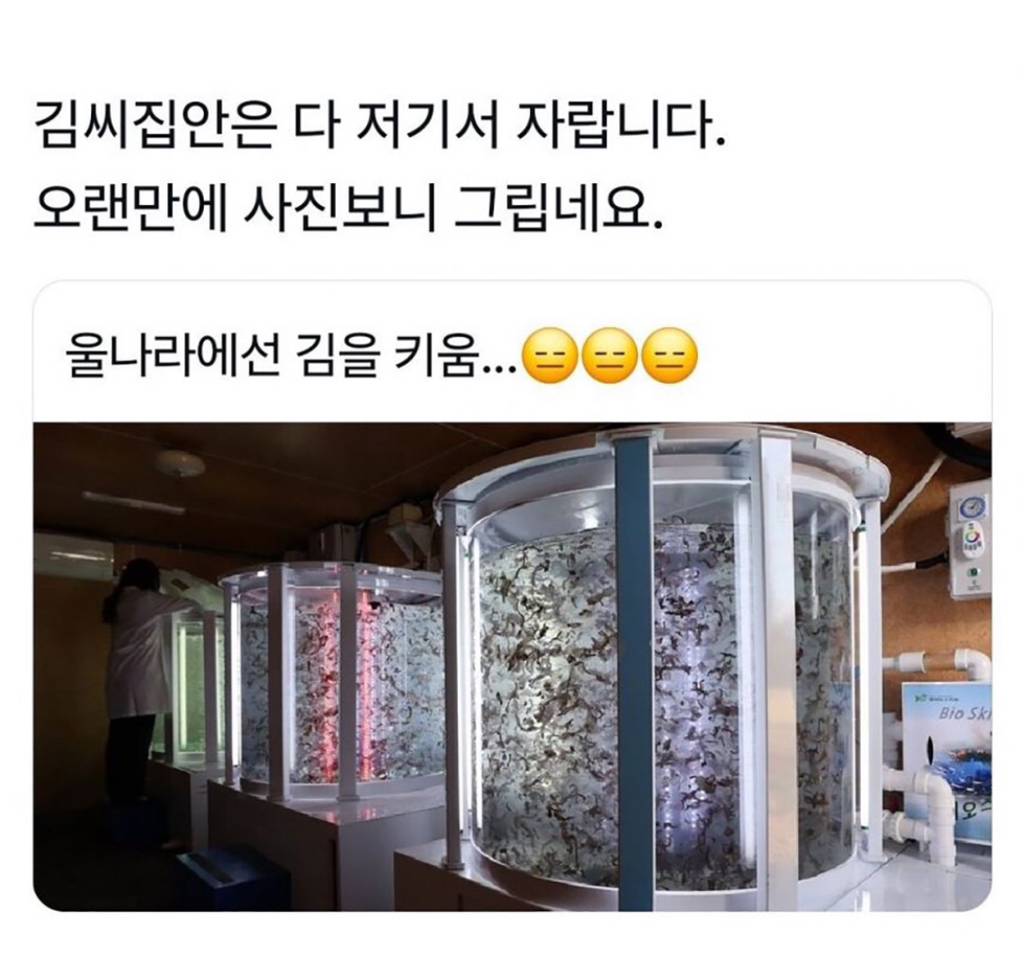 각 집안의 숨겨진 내력 | 인스티즈