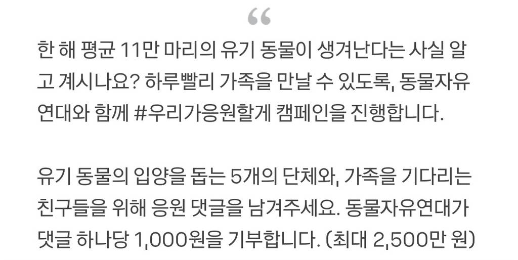 댓글 하나에 1000원이 유기동물에게 기부된다니 | 인스티즈