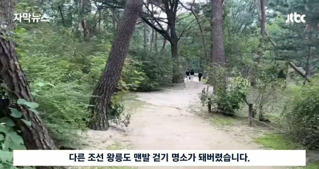 경고문도 무시하고 맨발걷기 하는 사람들 | 인스티즈