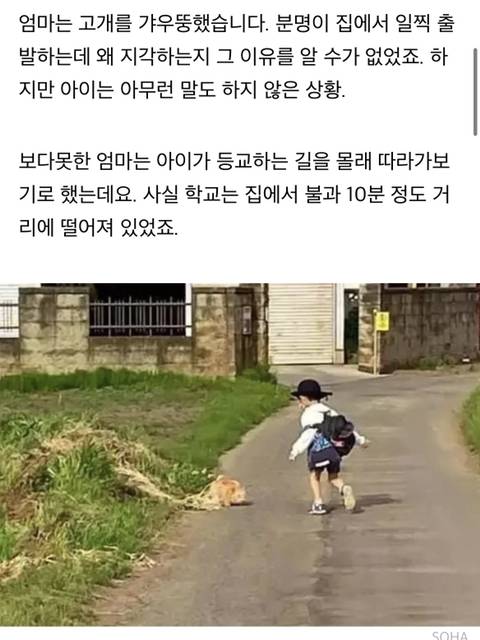 학교에 매일 같이 지각한다는 선생님 말에 등교하는 아들 뒤따라갔던 엄마가 마주한 상황 | 인스티즈