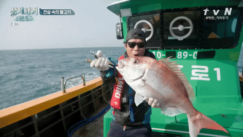 삼시세끼 차승원 손이 왜 저렇게 작은 것이며 참돔 잡아놓고 라면 왜 먹었는지 궁금한 달글 캡쳐.jpg | 인스티즈