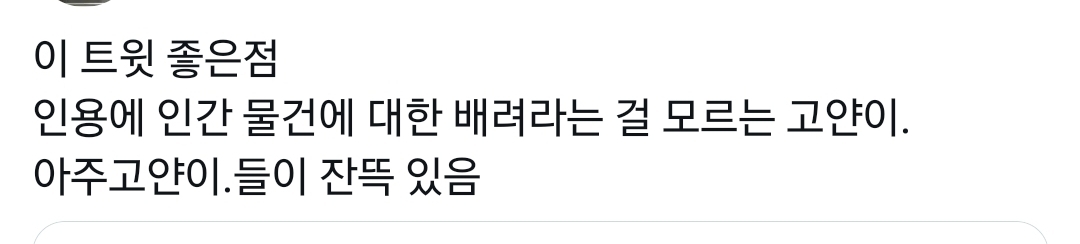 고양이들이 좋아하는 물건 집사 몰래 쓰는 이유.twt | 인스티즈