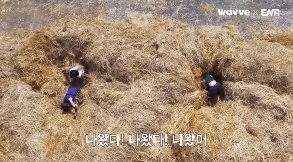 [여왕벌게임] 혐관 이것 뭐에요~??? | 인스티즈
