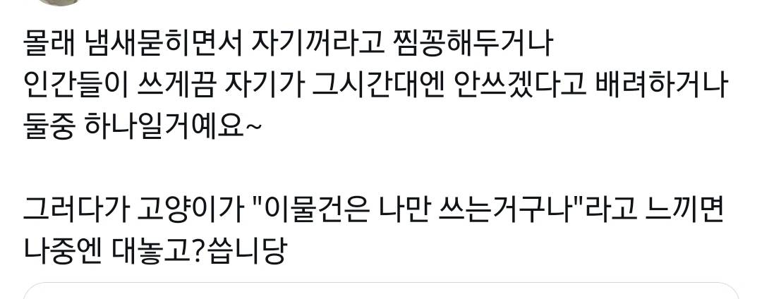 고양이들이 좋아하는 물건 집사 몰래 쓰는 이유.twt | 인스티즈