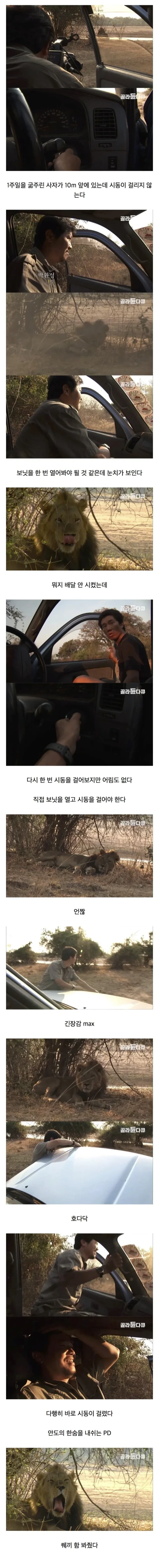 긴장감 넘치는 실제 상황.jpg | 인스티즈
