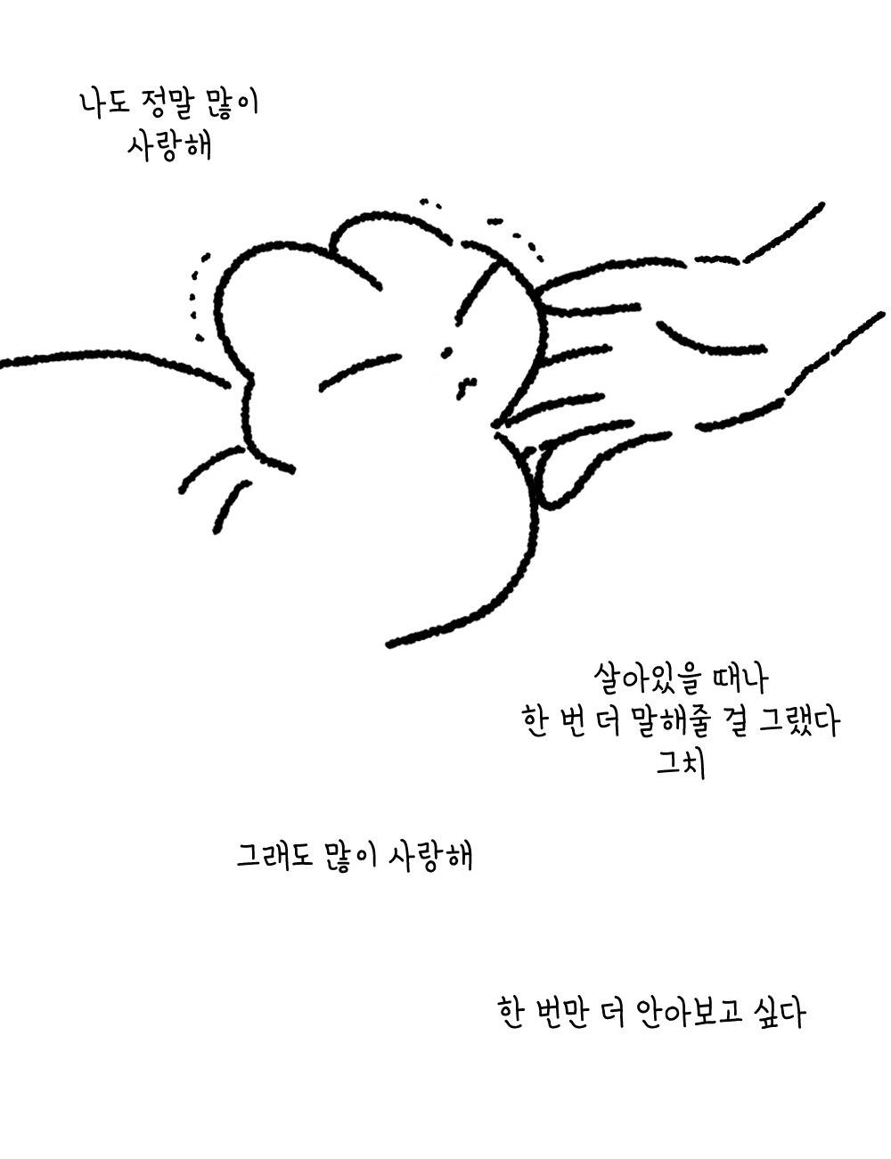 사랑하는 나의 고양이에게 | 인스티즈
