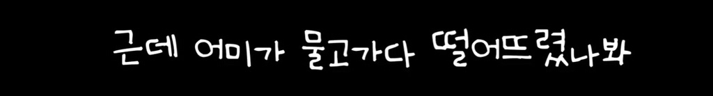 꾸준히 길고양이 돌보는 아이돌 | 인스티즈