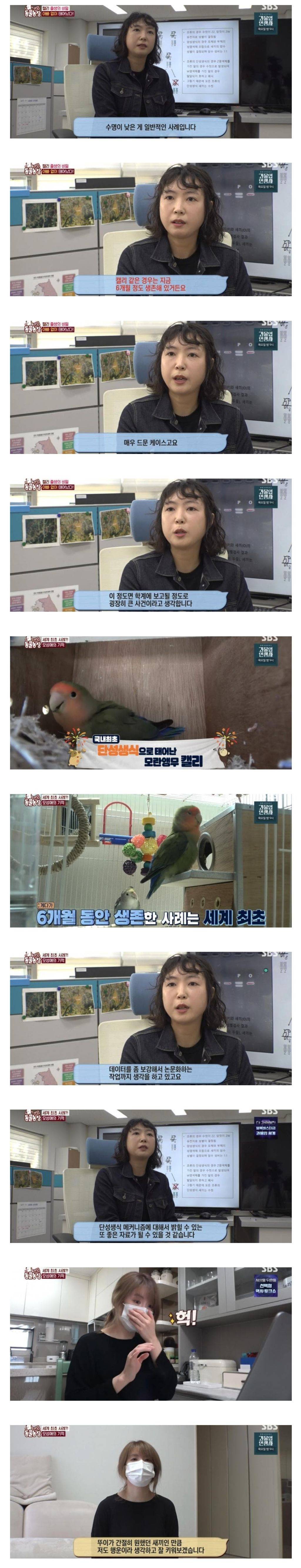 학계에서 연구대상이 될만큼 초희귀 사례가 나온 TV 동물농장 | 인스티즈