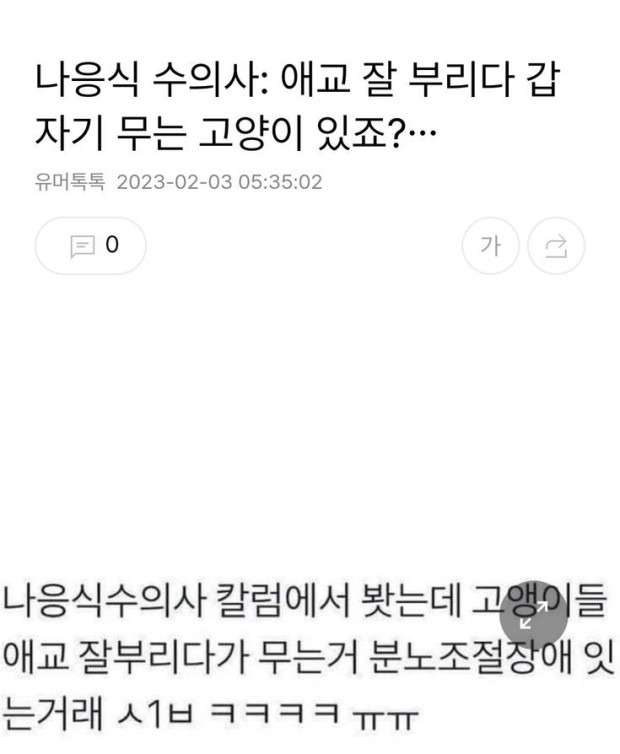고양이 애교 부리다가 갑자기 무는 이유 | 인스티즈
