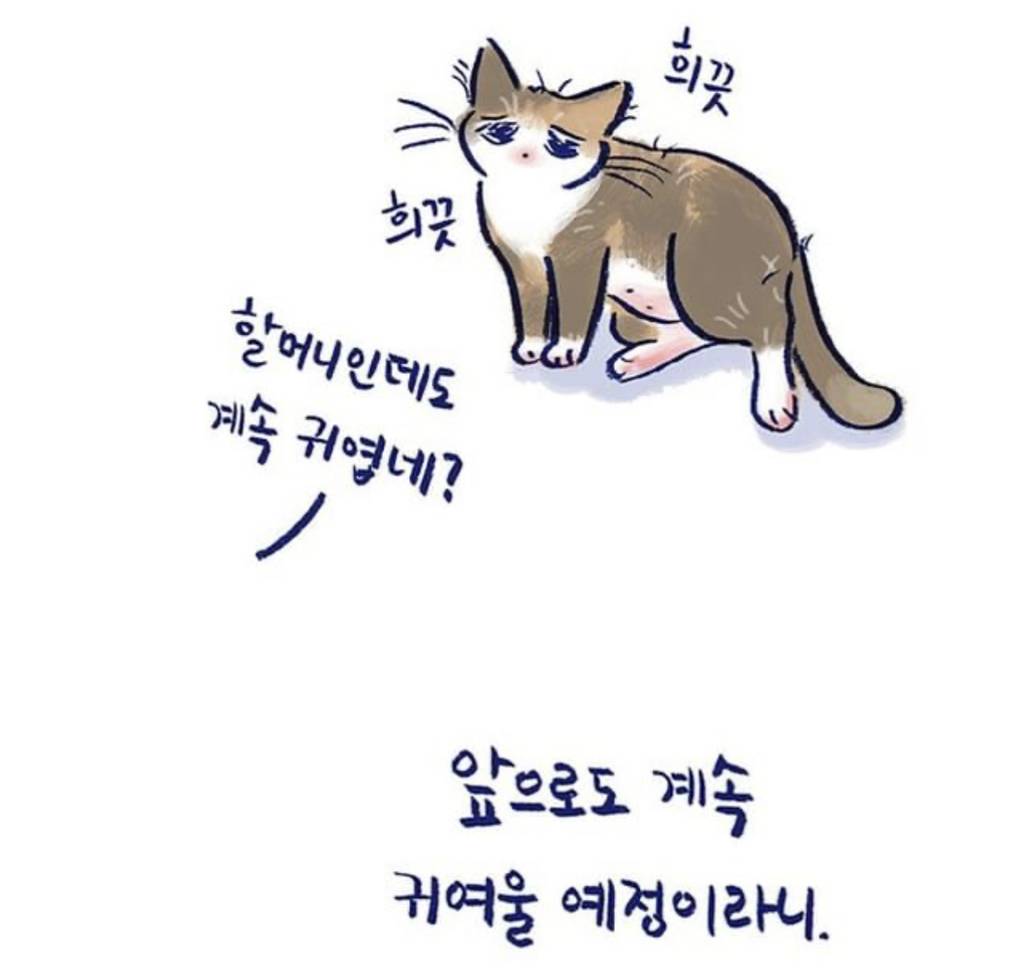 반려 동물을 기르는 사람들이 매일 느끼는 감정 | 인스티즈