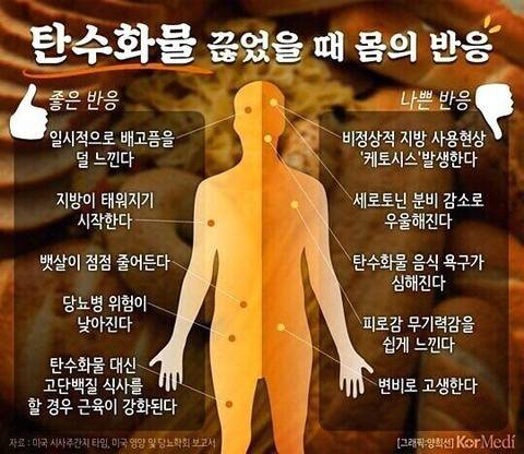 탄수화물 끊었을 때 몸의 반응.jpg | 인스티즈