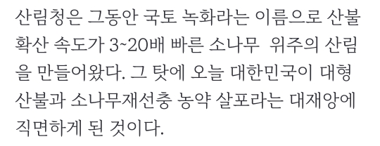 대형 산불 조장한 산림청... 의심스러운 먹이사슬 (산림청 고발 1탄, 설명 적어둠!) | 인스티즈